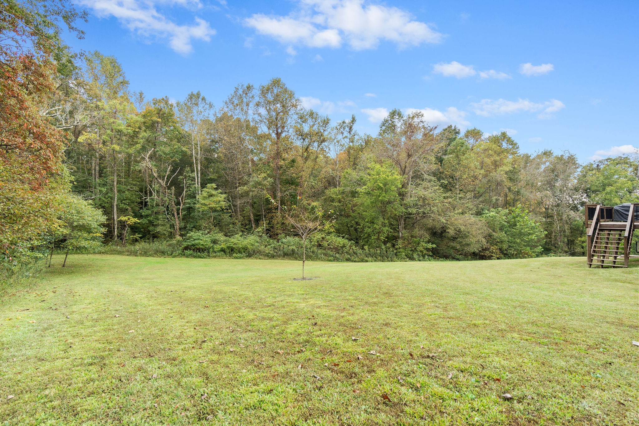 136 Hickory Hills Lane Tennessee Ridge, TN 37178 - Photo 25 of 26 Gallery Image 25