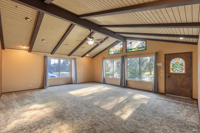 a view of a trees in a park