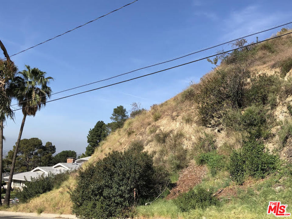 0 North Idlewood Road Glendale, CA 91202 - Photo 3 of 10 a view of a yard