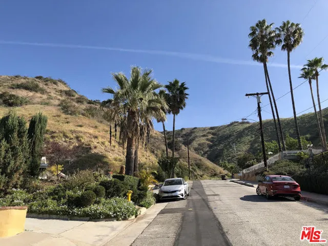 a view of a forest with mountains in the background