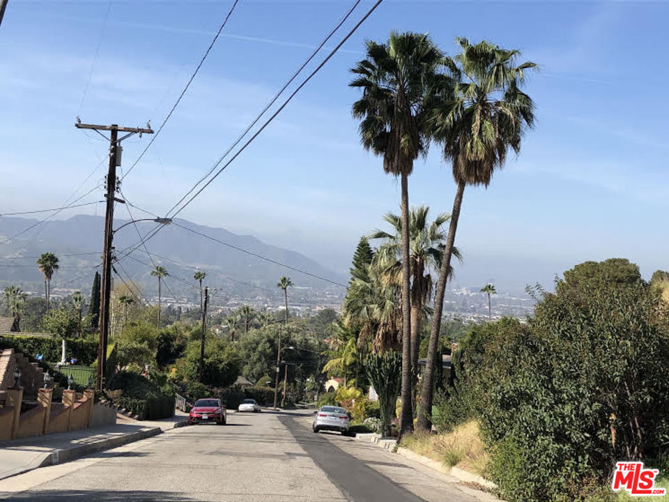 0 North Idlewood Road Glendale, CA 91202 - Photo 8 of 10 a plant on the side of a street