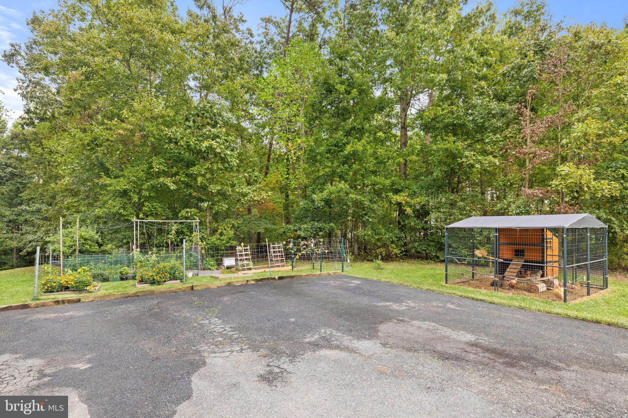 2177 Towles Road Midland, VA 22728 - Photo 56 of 66 Spacious Driveway