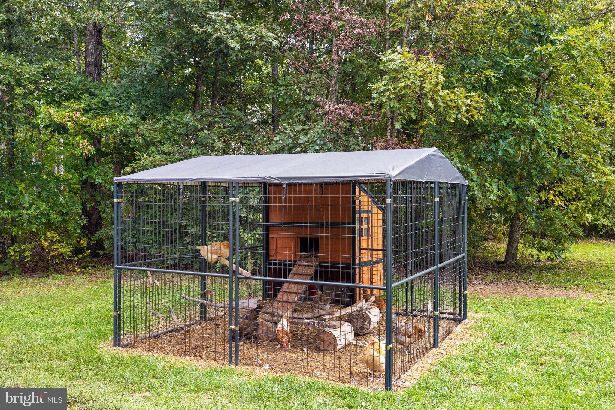 2177 Towles Road Midland, VA 22728 - Photo 57 of 66 Chicken Coop