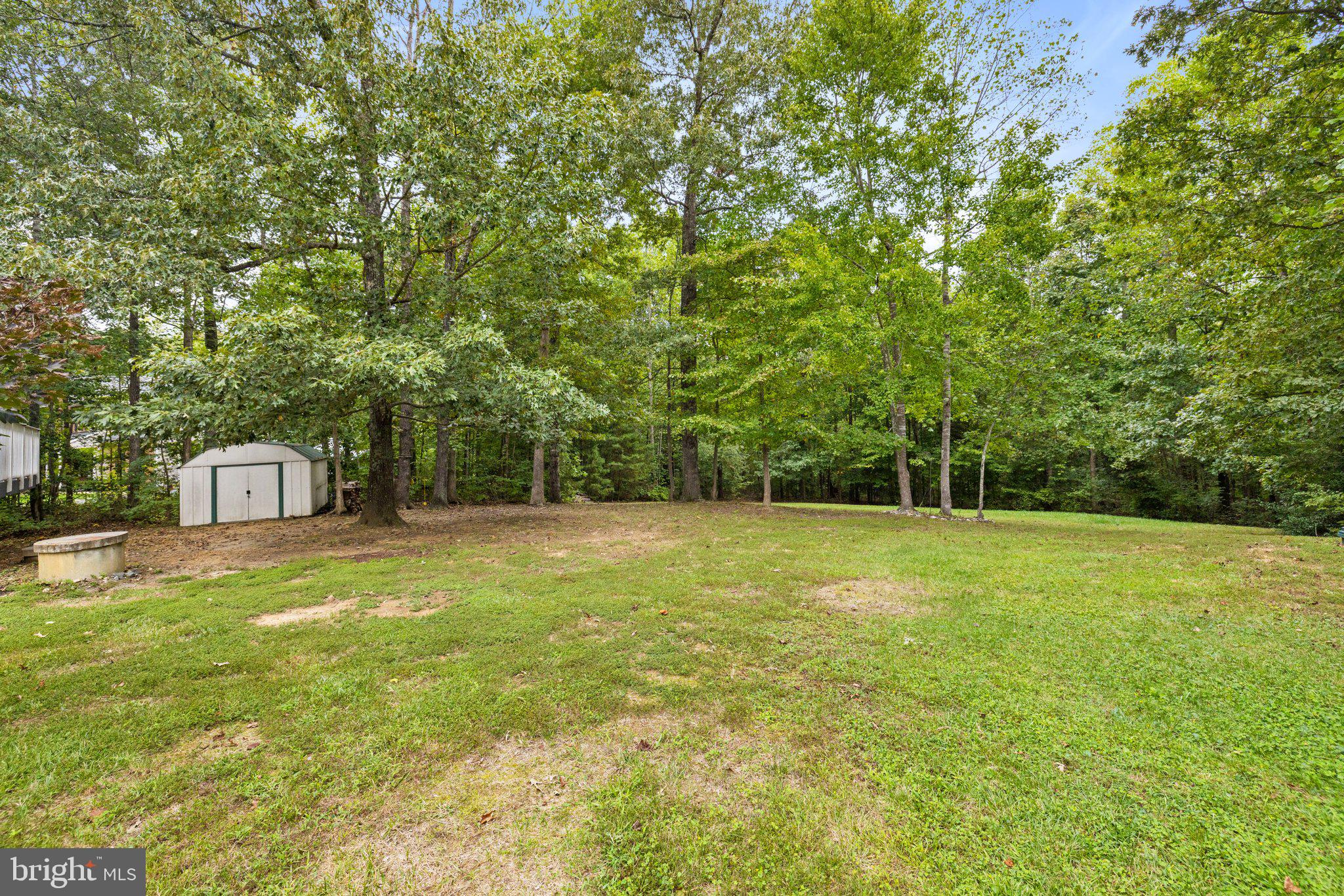 2177 Towles Road Midland, VA 22728 - Photo 64 of 66 Backyard and Shed