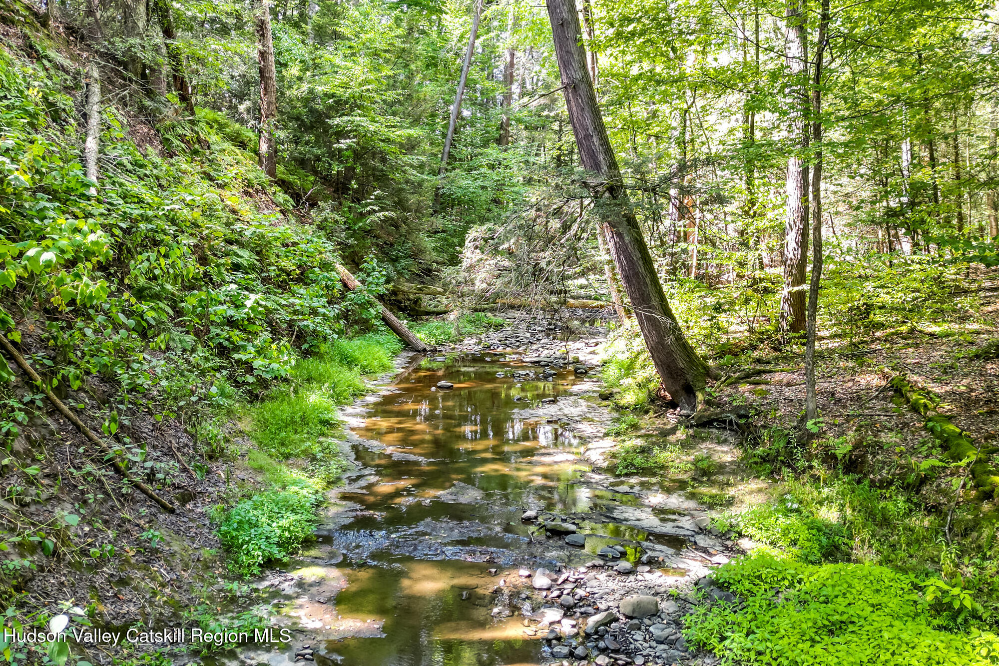 35 Fern Hollow Road Stone Ridge, NY 12484 - Photo 3 of 40 a view of a yard