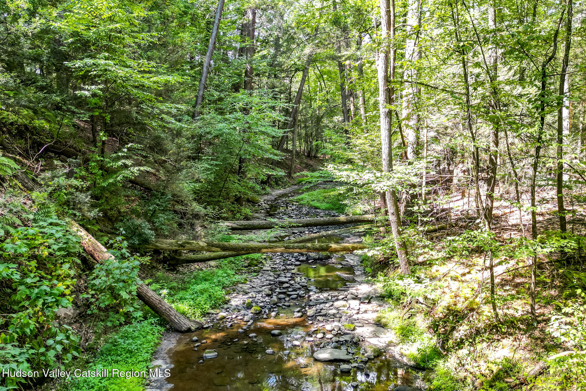 35 Fern Hollow Road Stone Ridge, NY 12484 - Photo 39 of 40 a view of a yard with plants and flowers