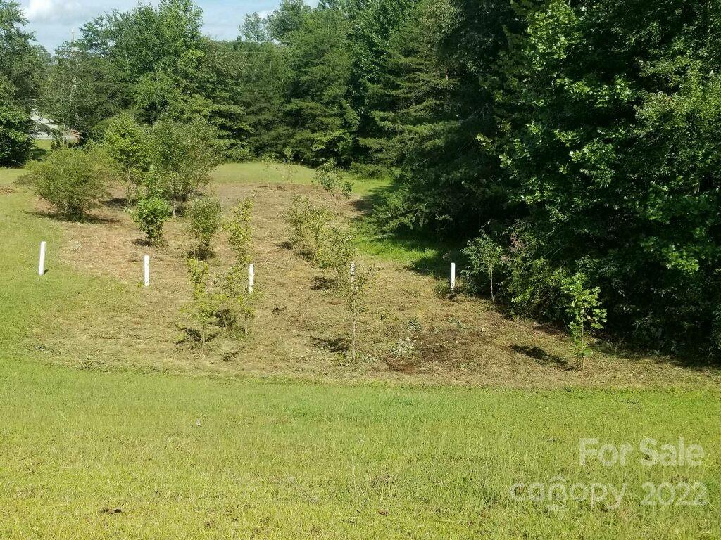 0 Carpenter Road Rutherfordton, NC 28139 - Photo 3 of 8 a view of a yard with an outdoor space