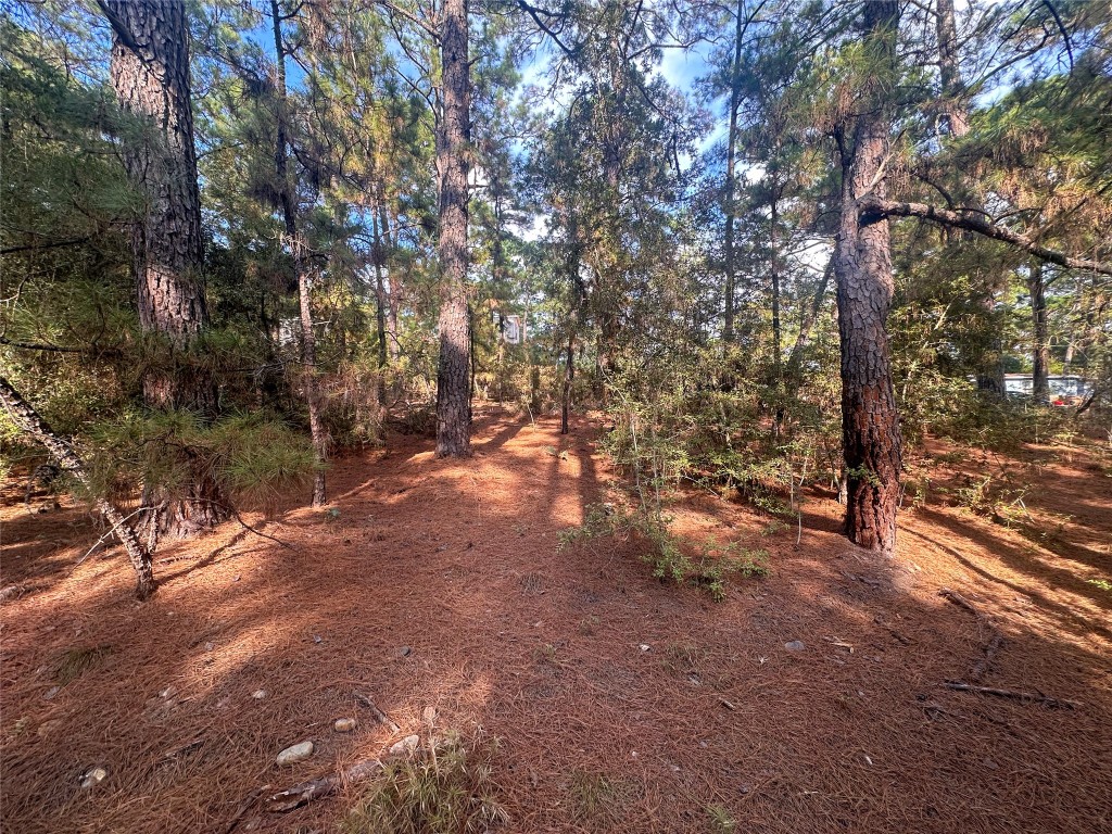Tbd South Hill Ridge Drive Bastrop, TX 78602 - Photo 8 of 15 a view of a forest with trees