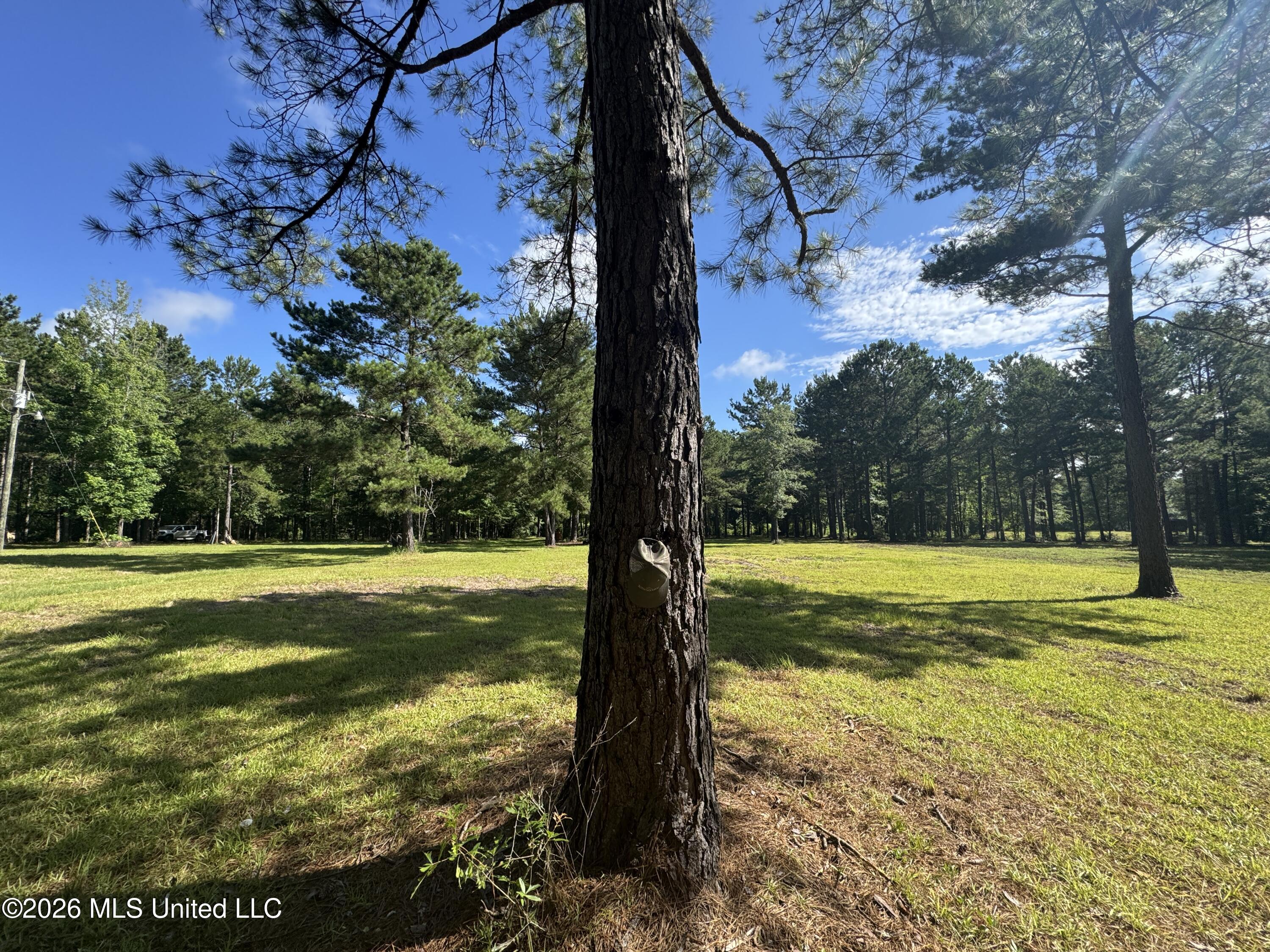 135 Joe Booth Road Taylorsville, MS 39168 - Photo 18 of 22 IMG_6421