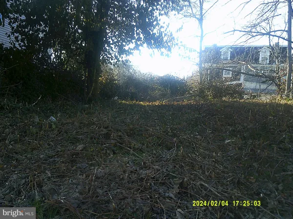 a view of a yard of a house