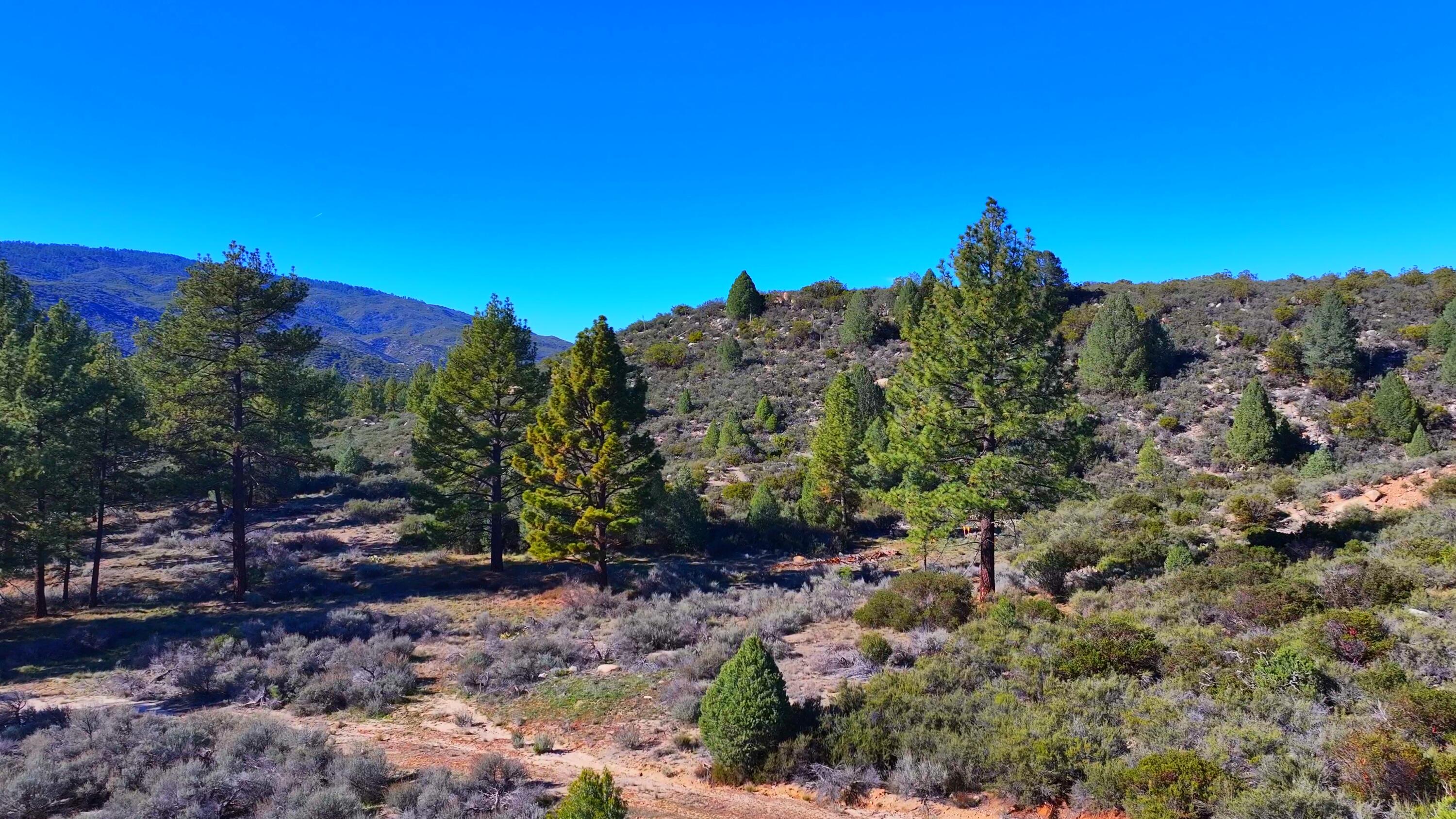 1 Butterfly Peak Road Mountain Center, CA 92561 - Photo 1 of 14 a view of a large building with mountain view