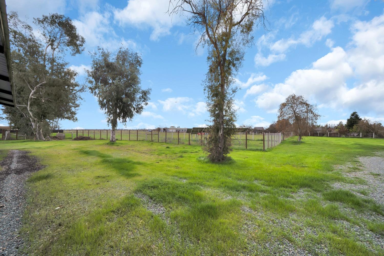 5420 East Jahant Road Galt, CA 95632 - Photo 21 of 73 a view of green field with trees around