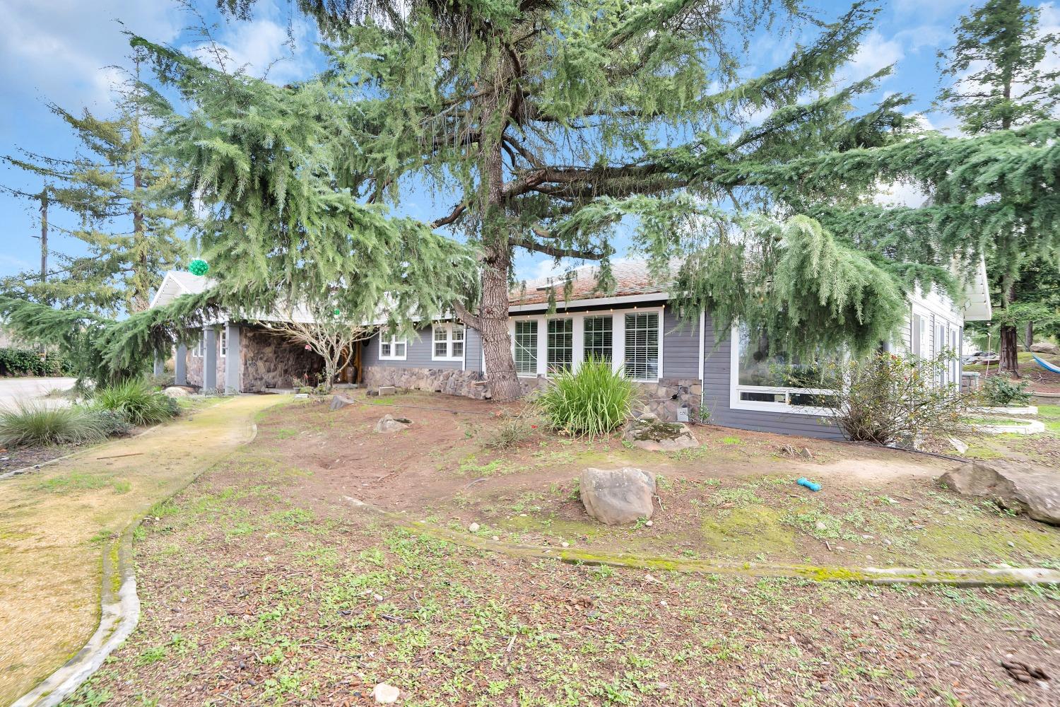5420 East Jahant Road Galt, CA 95632 - Photo 6 of 73 a view of a yard with plants and a lawn chairs under an umbrella