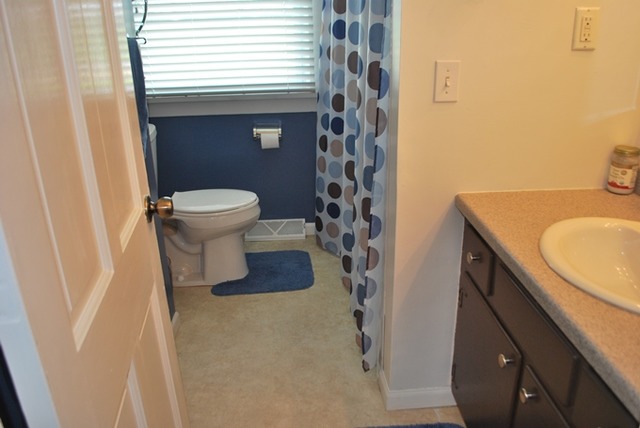 11402 East Hemstock Road Rochelle, IL 61068 - Photo 17 of 25 a bathroom with a sink and toilet