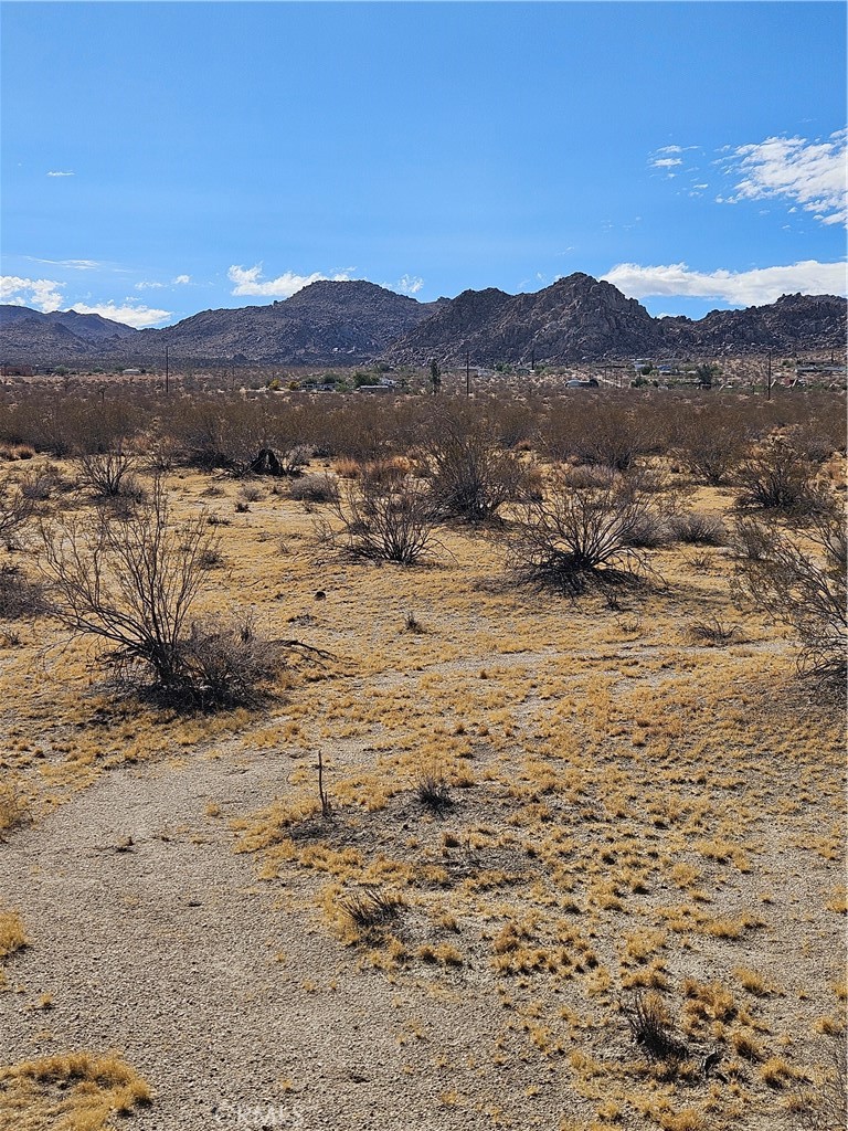 0 Twentynine Palms Highway Joshua Tree, CA 92252 - Photo 2 of 3 a view of lake with mountain
