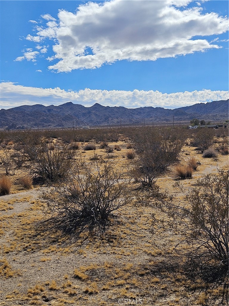 0 Twentynine Palms Highway Joshua Tree, CA 92252 - Photo 3 of 3 a view of lake with mountain
