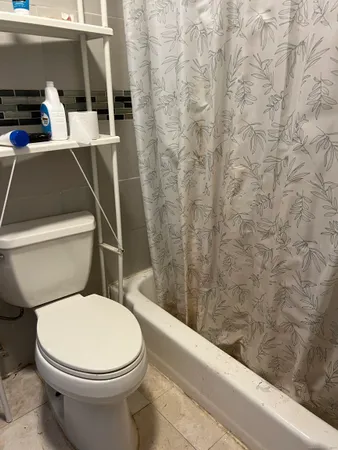 a white toilet sitting next to a shower