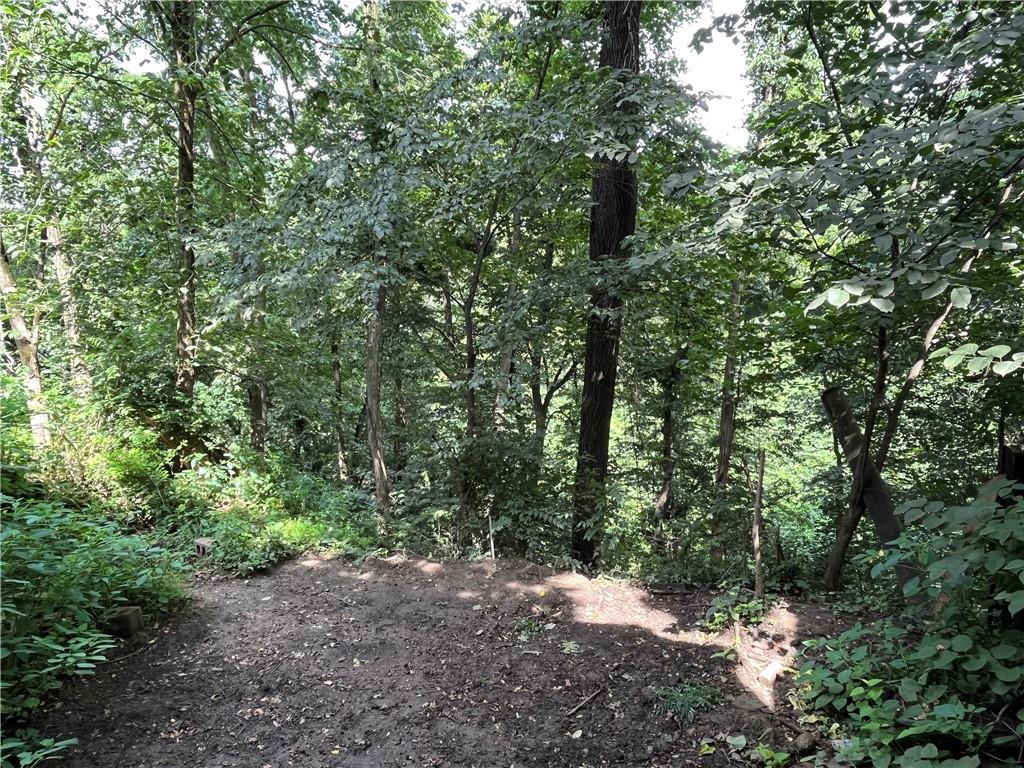 1515 Terrace Street Braddock, PA 15104 - Photo 23 of 30 a view of a forest with trees