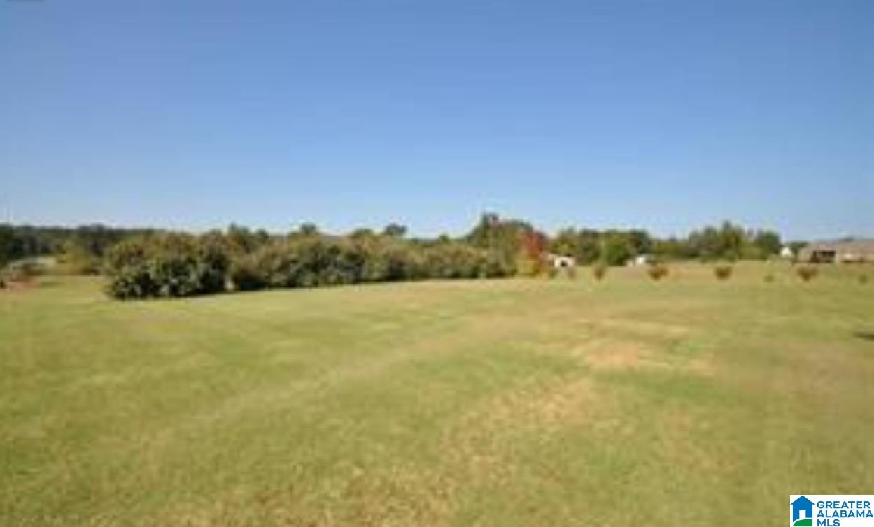275 Payton Lane Locust Fork, AL 35097 - Photo 6 of 23