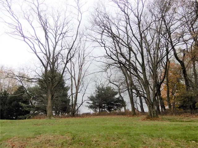 a view of green field