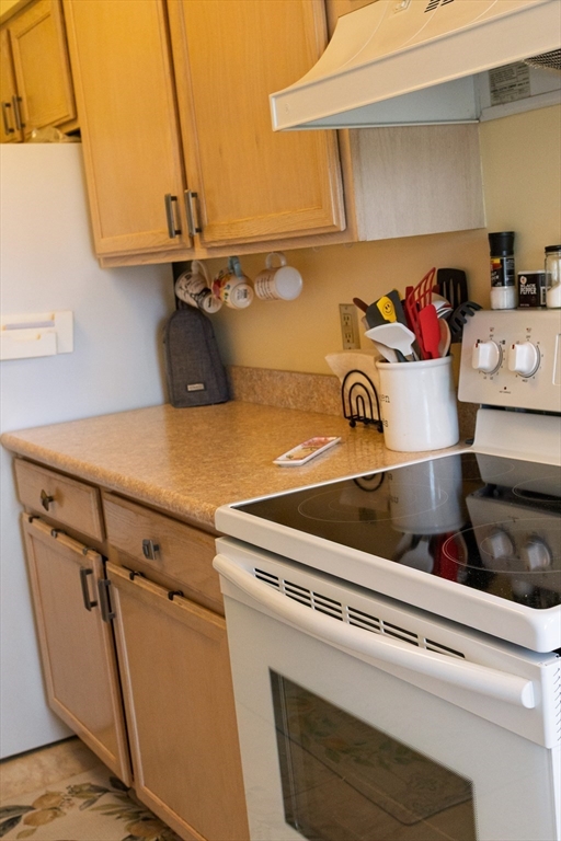 61 Outer Drive, Unit 61 Chicopee, MA 01022 - Photo 6 of 25 a close view of sink and stove