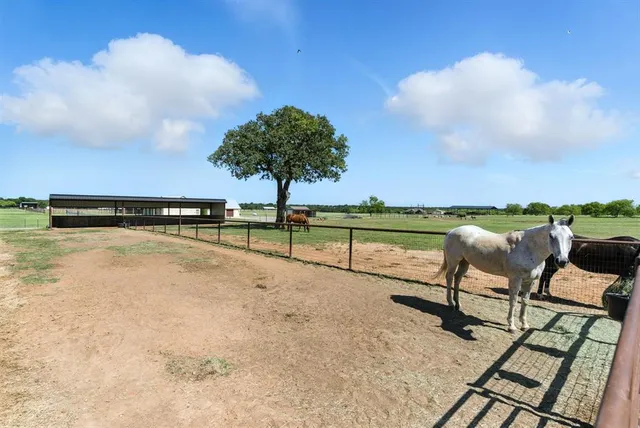 $6,000 | 1000 Rambling Oaks Lane, Weatherford, TX 76088