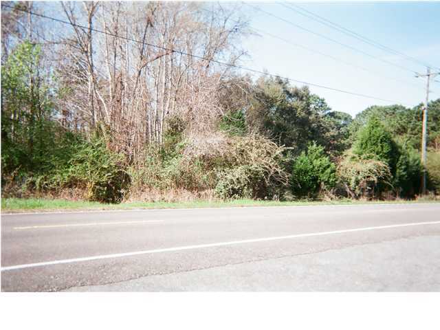 968 River Road Johns Island, SC 29455 - Photo 1 of 2 Primary Photo