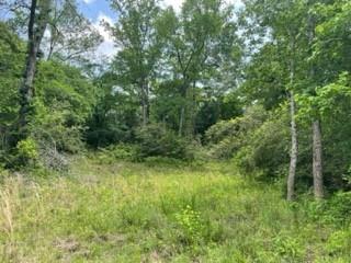 6 Fm 1848 Buffalo, TX 75831 - Photo 11 of 14