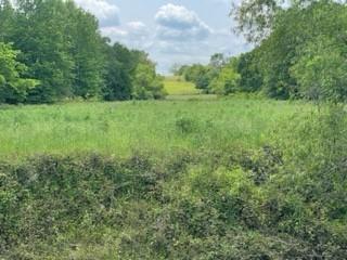 6 Fm 1848 Buffalo, TX 75831 - Photo 3 of 14