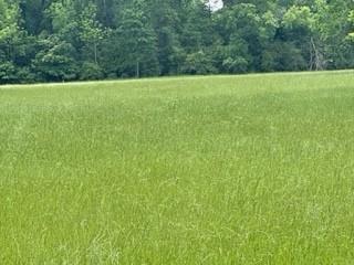 6 Fm 1848 Buffalo, TX 75831 - Photo 4 of 14