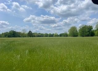 6 Fm 1848 Buffalo, TX 75831 - Photo 6 of 14