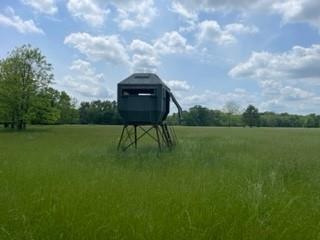 6 Fm 1848 Buffalo, TX 75831 - Photo 7 of 14