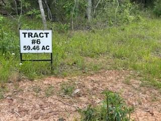 6 Fm 1848 Buffalo, TX 75831 - Photo 10 of 14