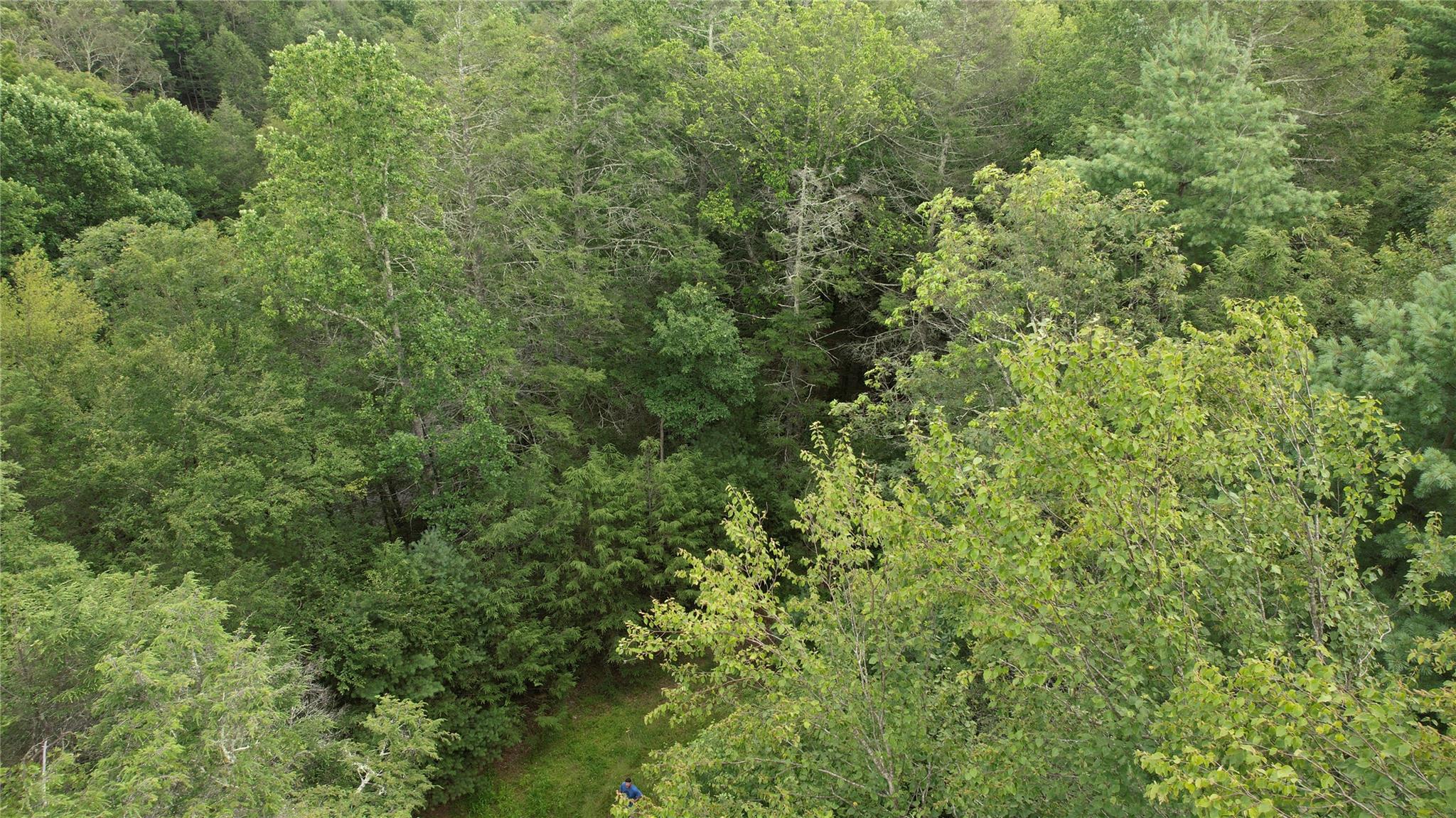 141 Brandt Road Cuddebackville, NY 12729 - Photo 3 of 5 an aerial view of residential house with outdoor space and trees all around