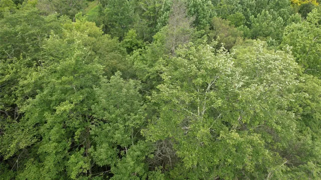 a view of a large yard with lots of green space