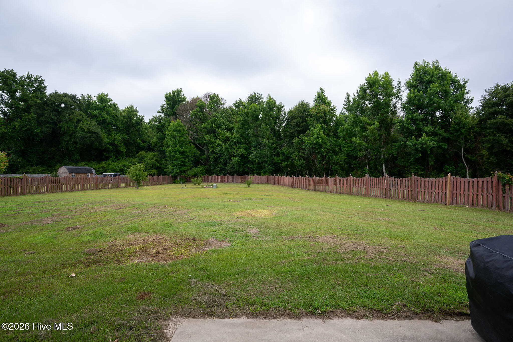 108 Willard Way Beulaville, NC 28518 - Photo 41 of 44
