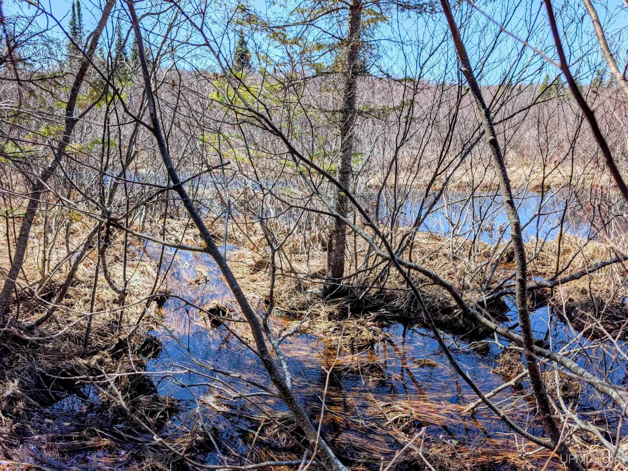 8-acres East Cable Lake Road Crystal Falls, MI 49920 - Photo 11 of 20