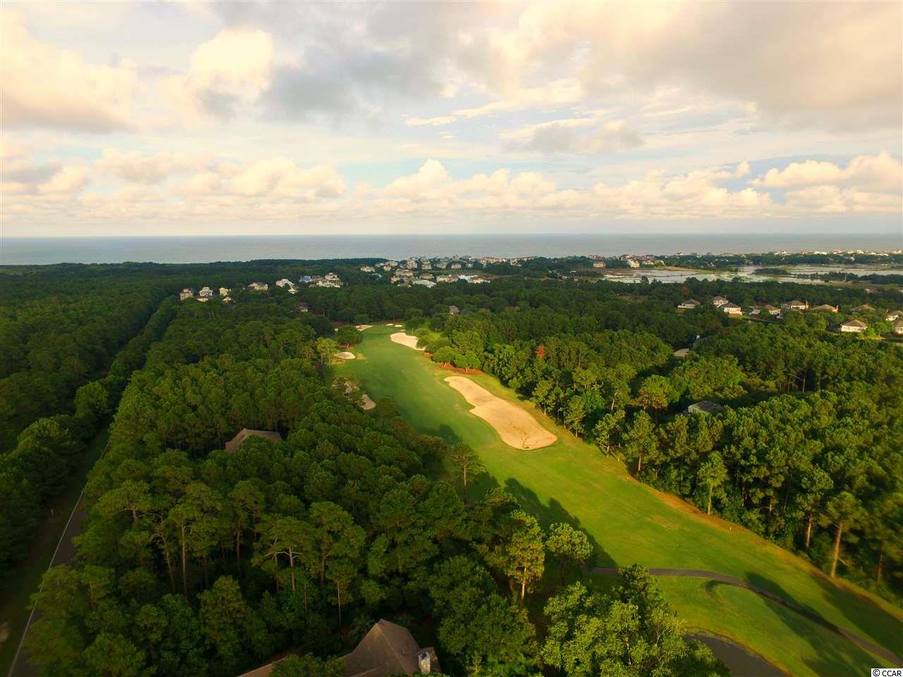 Lot 14 Ocean Park Loop Georgetown, SC 29440 - Photo 29 of 40 Gallery Image 29