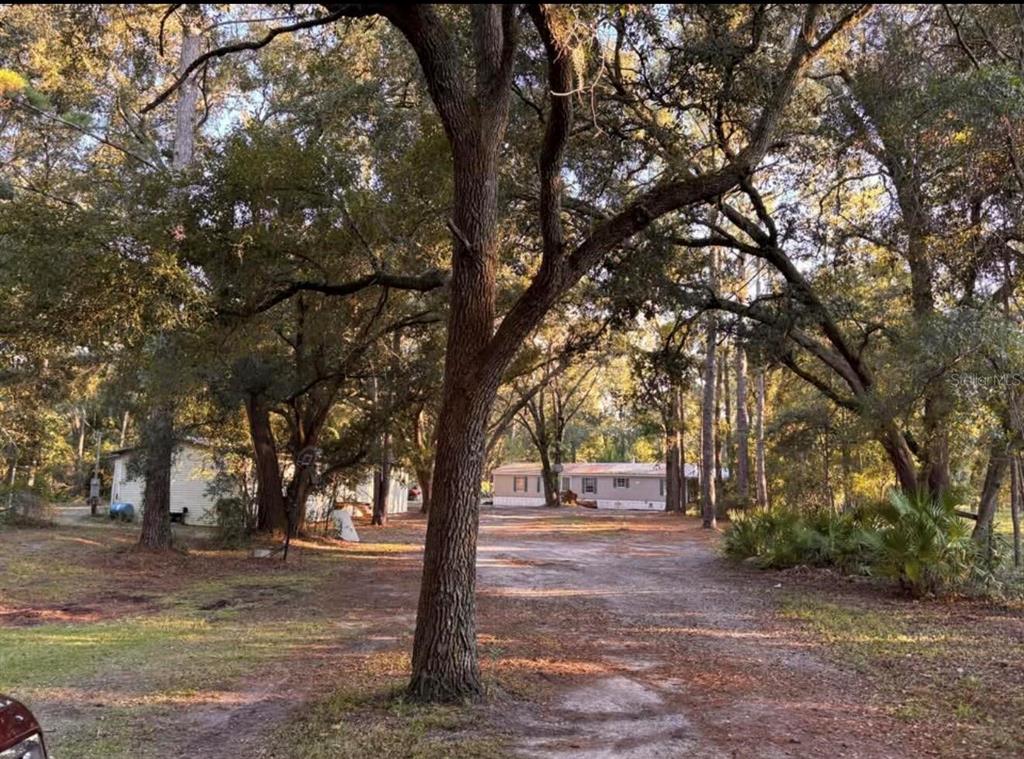 14215 97th Road Live Oak, FL 32060 - Photo 1 of 10