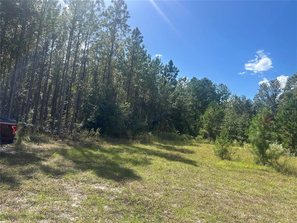14215 97th Road Live Oak, FL 32060 - Photo 2 of 10