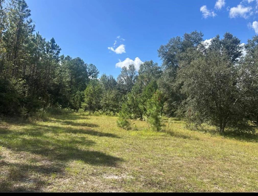 14215 97th Road Live Oak, FL 32060 - Photo 6 of 10