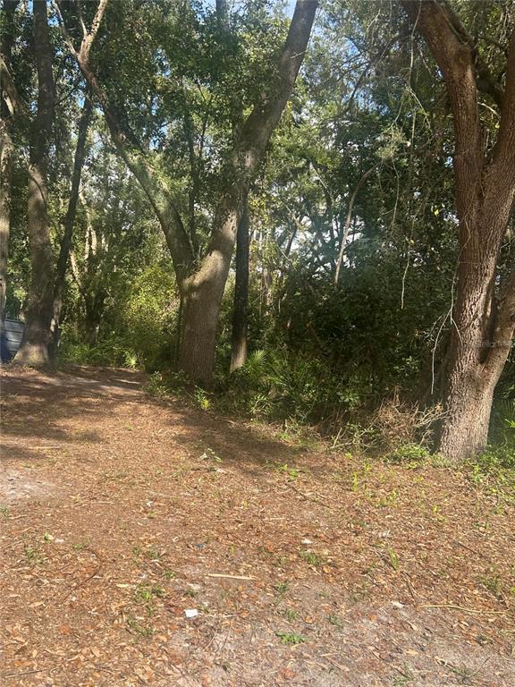 14215 97th Road Live Oak, FL 32060 - Photo 8 of 10