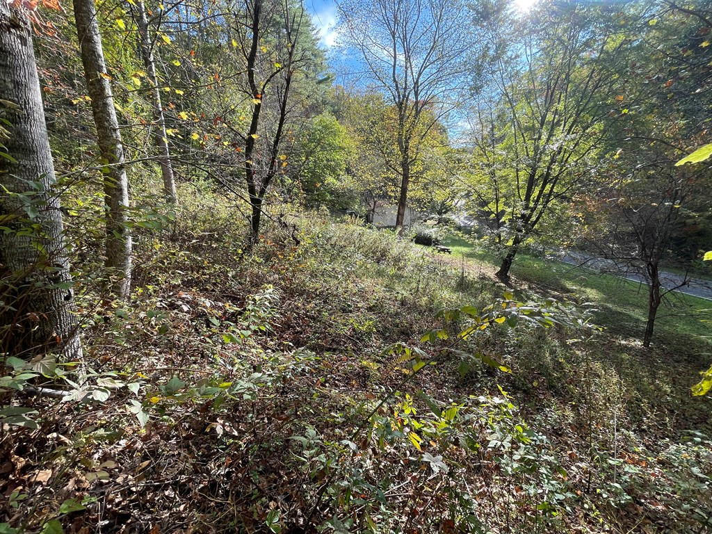 879 Dick Branch Road Robbinsville, NC 28771 - Photo 17 of 26 Gallery Image 17