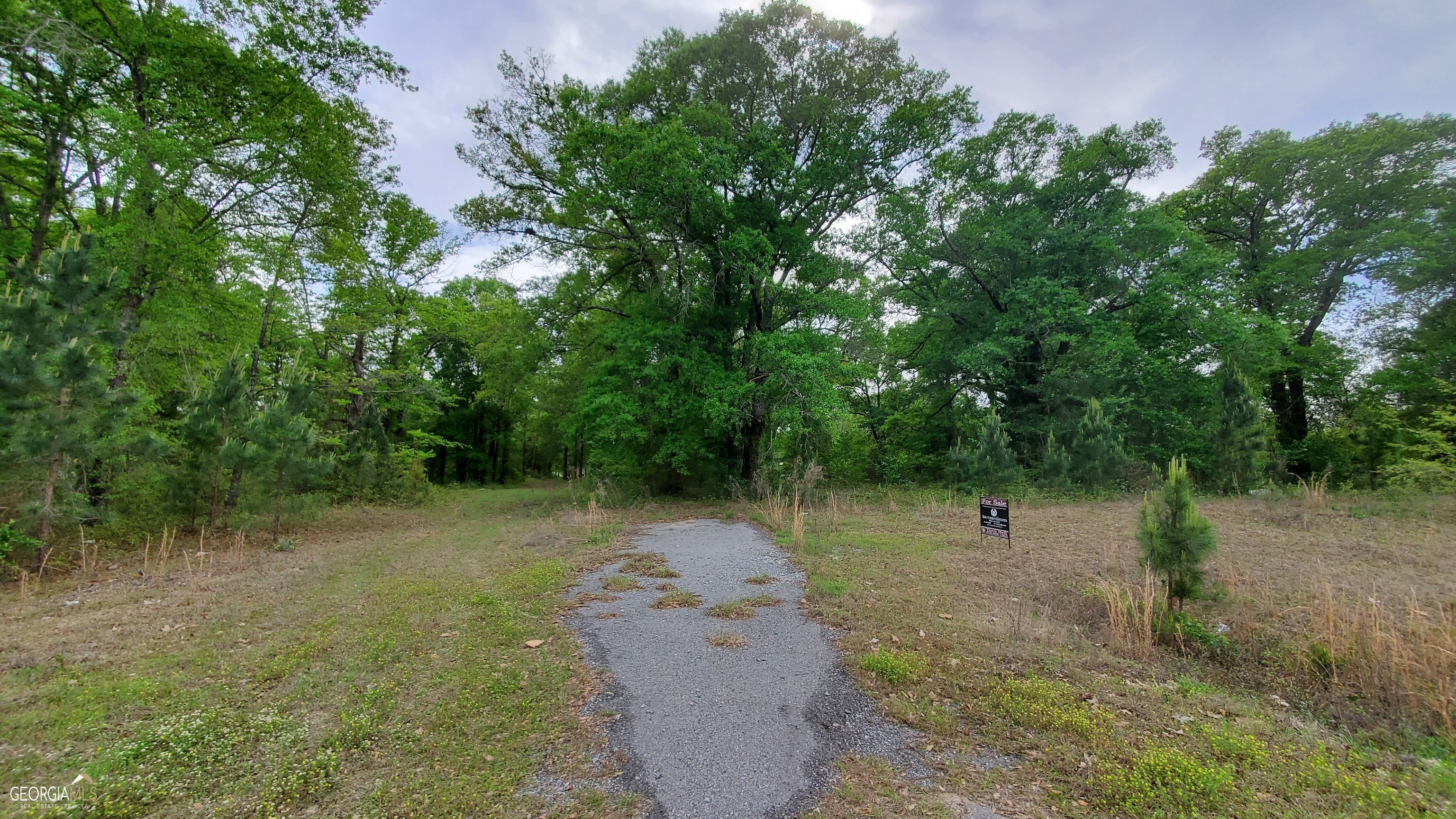 0 Meeks Road Rentz, GA 31075 - Photo 1 of 14 a view of a yard with a tree