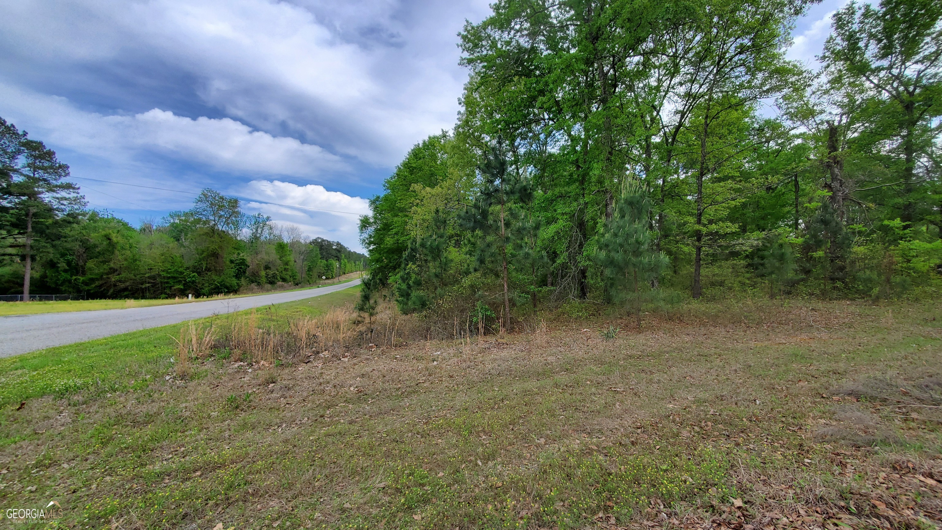 0 Meeks Road Rentz, GA 31075 - Photo 3 of 14 a view of outdoor space and yard