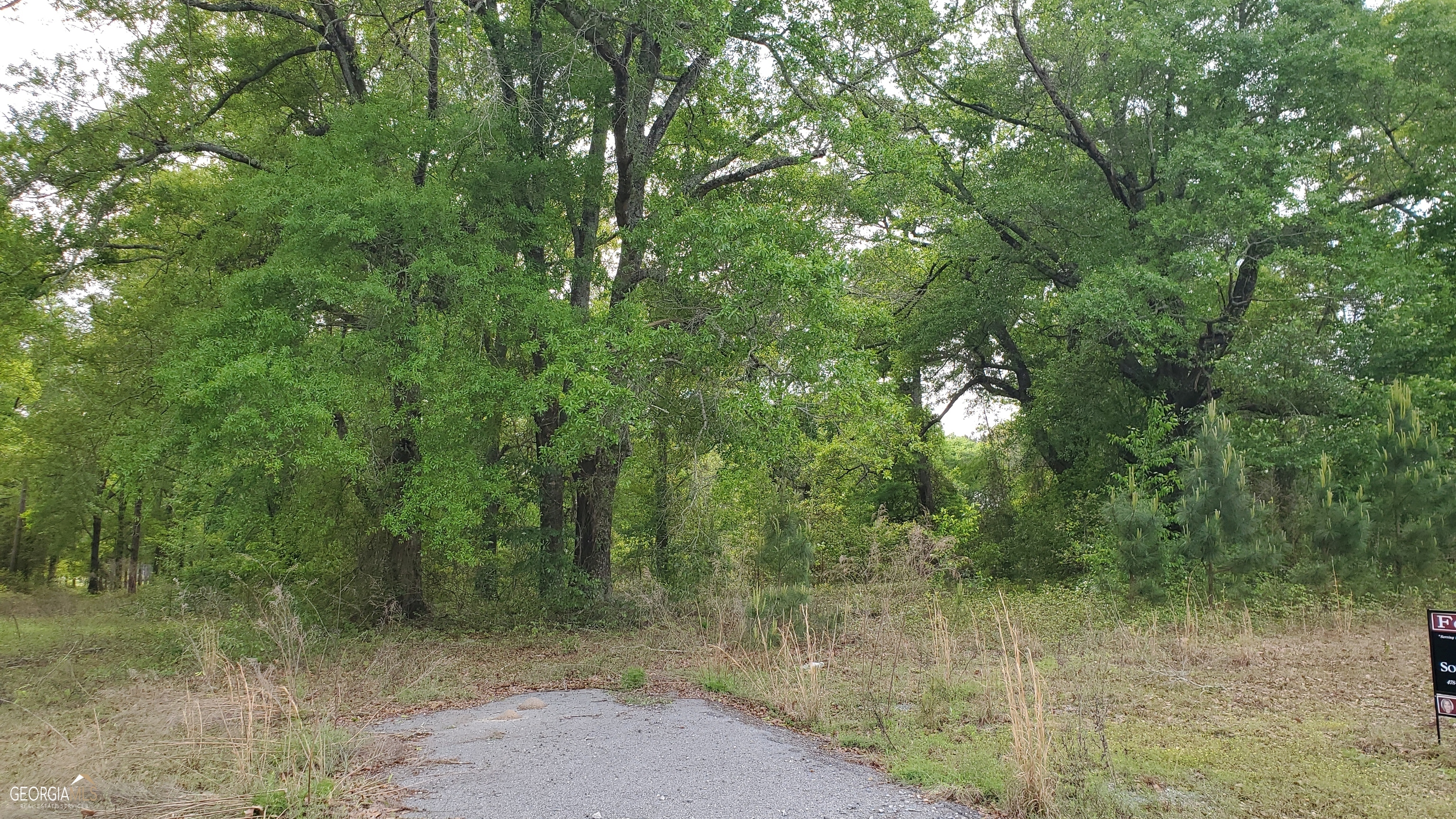 0 Meeks Road Rentz, GA 31075 - Photo 6 of 14 a view of a forest with trees in the background