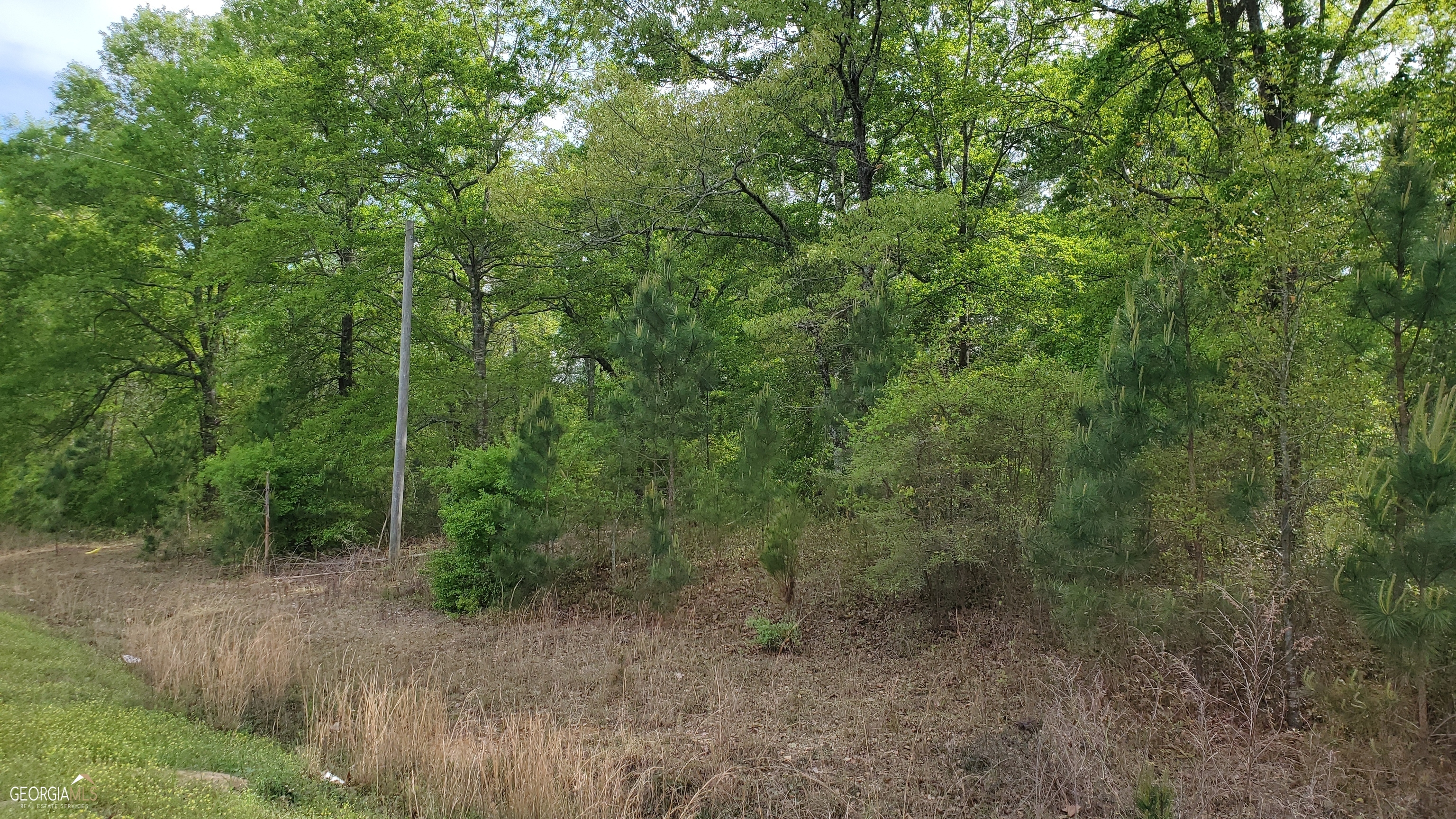 0 Meeks Road Rentz, GA 31075 - Photo 7 of 14 a view of a forest with trees in the background