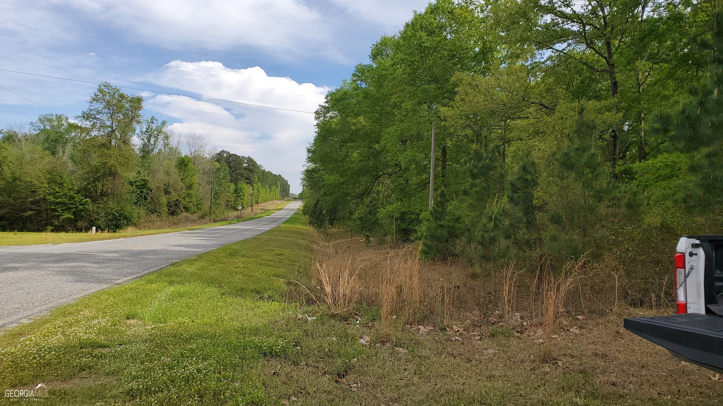 0 Meeks Road Rentz, GA 31075 - Photo 8 of 14 a view of a field with trees in the background