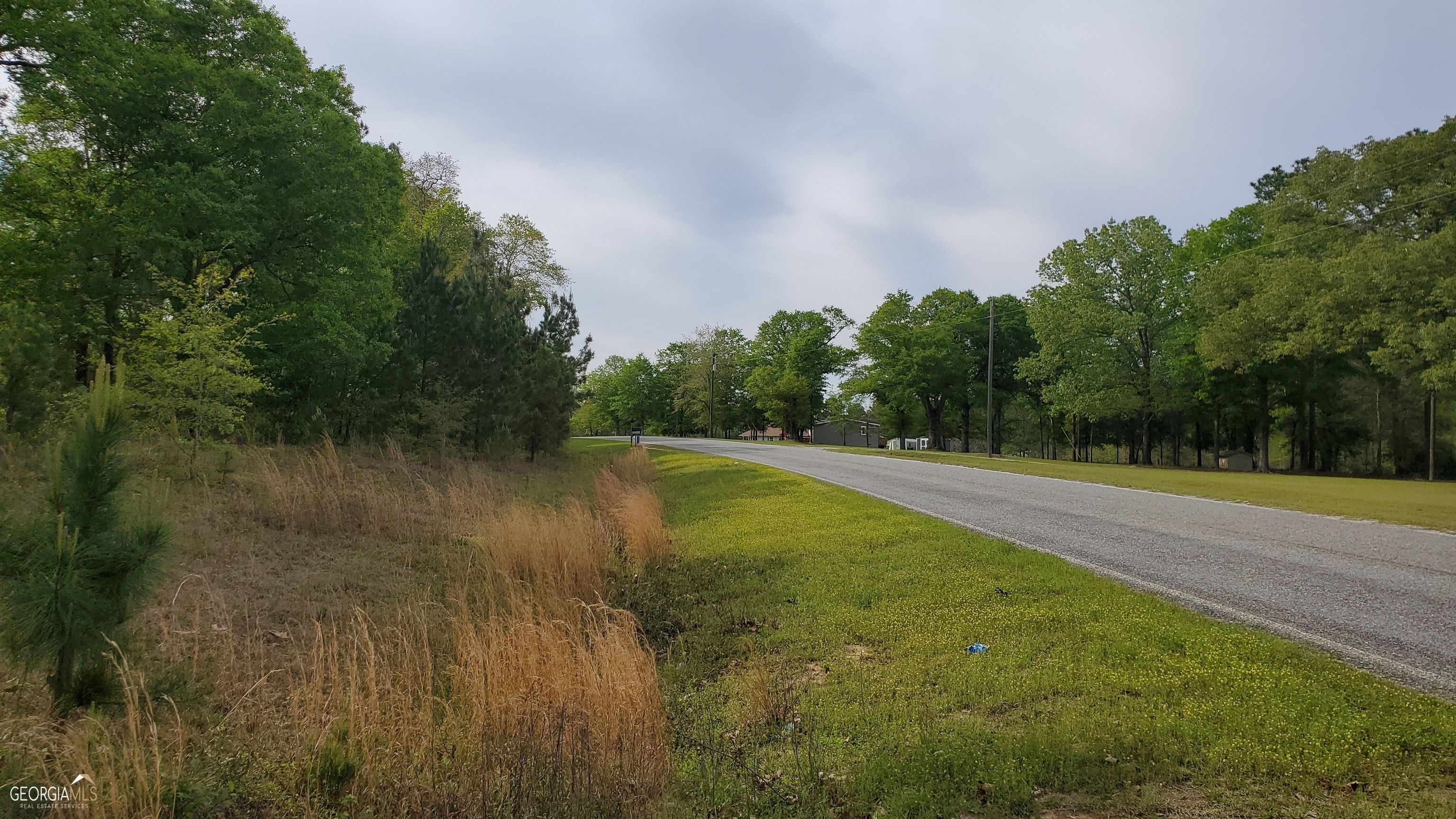 0 Meeks Road Rentz, GA 31075 - Photo 9 of 14 a view of a lake view