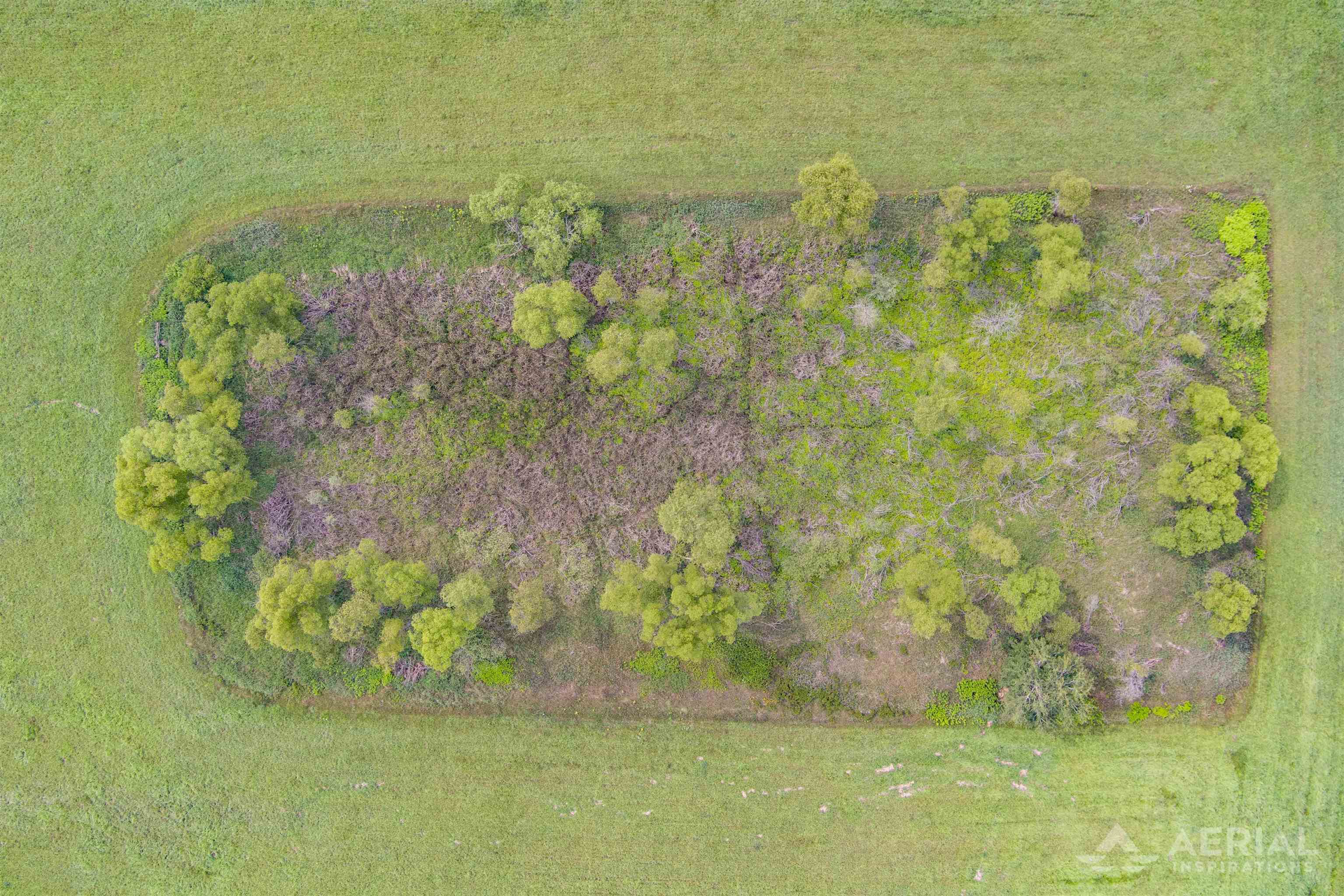 0 Quigley Road West Branch, MI 48661 - Photo 7 of 8
